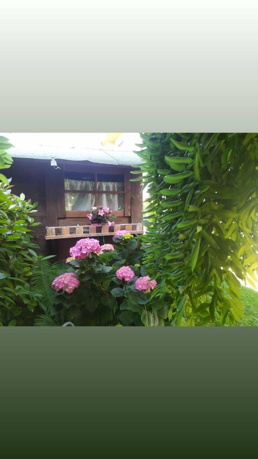 Al Casale B&B Casalserugo Extérieur photo
