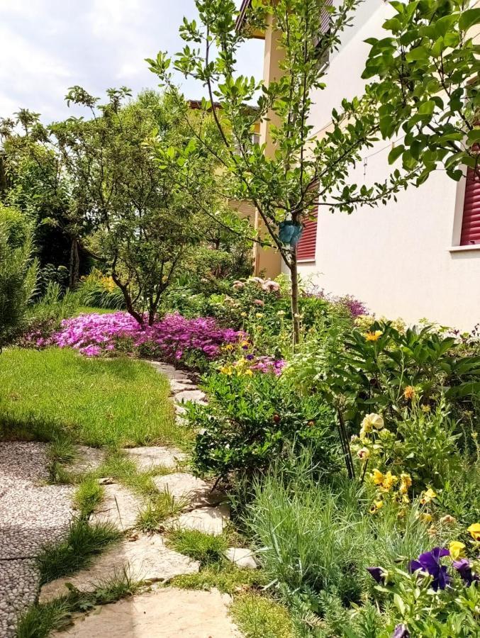 Al Casale B&B Casalserugo Extérieur photo